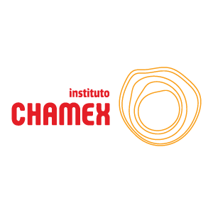 Instituto Chamex